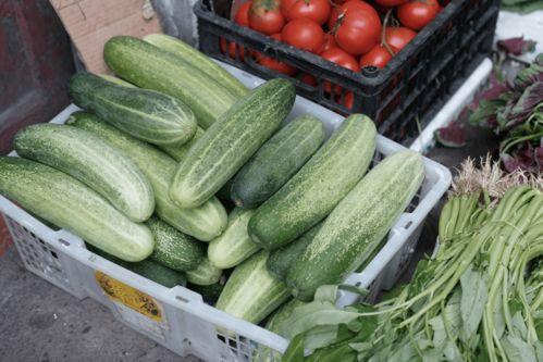 299吃瓜网怎么打不开,揭秘299吃瓜网无法访问之谜