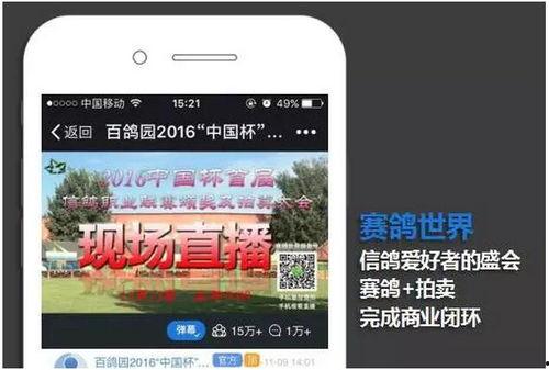 网红吃瓜网站在线看直播,揭秘娱乐圈幕后故事