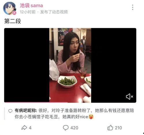 吃网红黑瓜视频大全集,揭秘网络红人幕后故事
