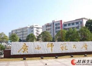 广西师范大学网红吃瓜,校园风云背后的美食故事