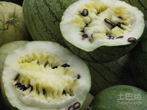 网红博主吃满籽瓜视频,口感与营养大揭秘！