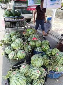 株洲网红吃瓜事件,揭秘网络舆论的风暴与真相