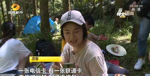 网红吃瓜视频王多鱼,揭秘网红圈幕后故事