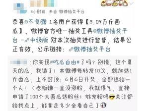 抽奖视频吃瓜群众评论网,吃瓜群众热议，评论网热议不断