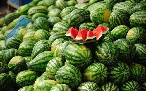 吃瓜官网进入,带你领略美食世界的无限魅力