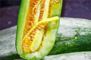 各种吃瓜网红,揭秘网络红人的美食世界