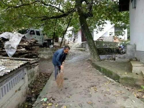 康县店子乡网红吃瓜事件