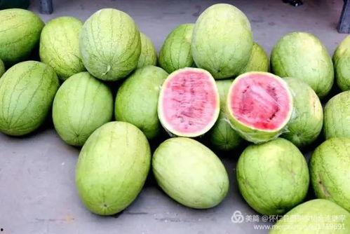 怀仁网红吃瓜视频,揭秘网络热点背后的真相