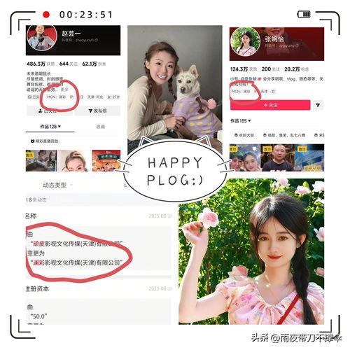 吃瓜头条网,揭秘娱乐圈最新热点，带你领略明星幕后故事