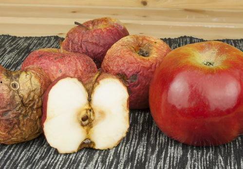 网红瓜水果可以吃皮,健康美味两不误