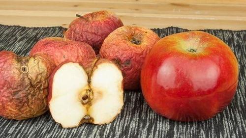 网红瓜水果可以吃皮,健康美味两不误