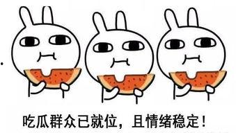 网语吃瓜什么意思,网语“吃瓜”背后的娱乐现象解析