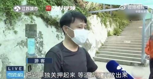吃瓜网红生活费,揭秘网红背后的真实开销