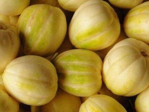 吃瓜香瓜网,揭秘娱乐圈幕后故事，带你领略明星真实生活