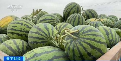 629吃瓜网访问,热门话题背后的网络影响力