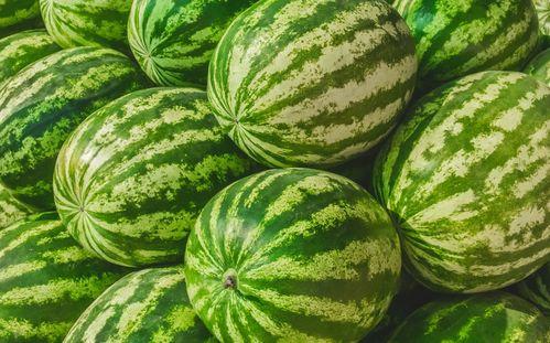 福州网红吃瓜,揭秘城市美食新潮流