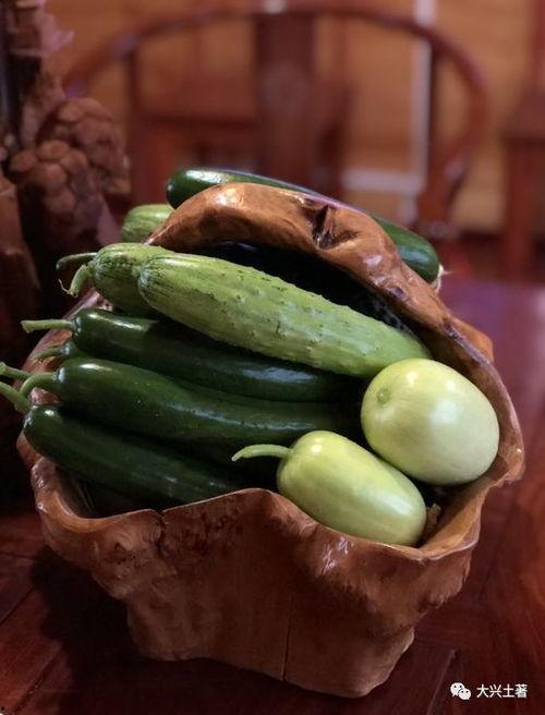 吃瓜网红都有哪些平台,吃瓜网红聚集的五大热门平台大盘点