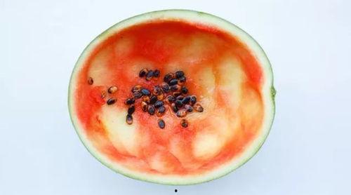 网红吃瓜勺子图片高清,揭秘网络红人美食新宠