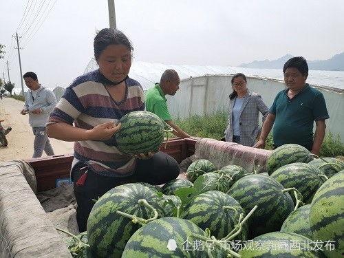 三水区网红吃瓜事件,揭秘网络舆论的风云变幻