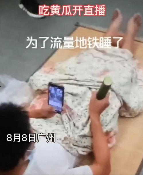 怎么看网红吃瓜视频直播,揭秘幕后真相与娱乐效应