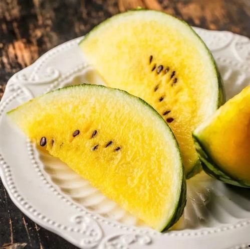 必应吃瓜网,带你领略网络吃瓜文化的魅力