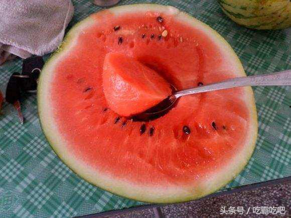 吃瓜日网,网络热议背后的真相与趣味