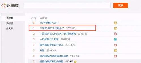 吃瓜网红网址,带你走进网络娱乐新世界