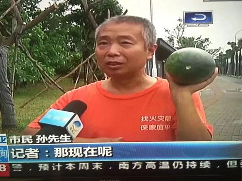 最新热门网红吃瓜事件,揭秘幕后真相，带你直击娱乐圈风云