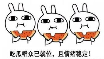 网语 吃瓜 啥意思