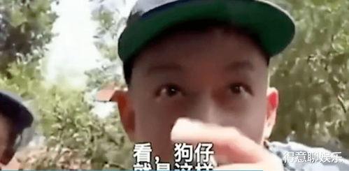 吃瓜网黑脸,网络舆论背后的真相与反思