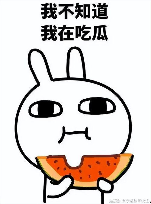 黑脸网吃瓜,揭秘网络舆论背后的真相与争议