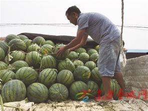 红星吃瓜网,揭秘娱乐圈最新热点，带你领略明星幕后故事