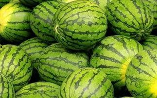 吃瓜上什么网,揭秘热门话题背后的网络世界