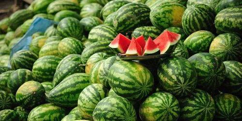 廊坊吃瓜事件网红叫什么,揭秘网红“瓜王”背后的故事