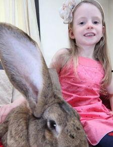 网红吃瓜兔事件最新结果