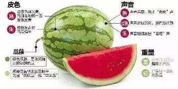 金乡网红吃瓜群微信