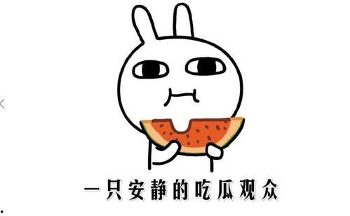 吃瓜爆料抖音网,揭秘网络热点背后的真相