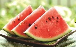 吃瓜网教程,轻松掌握网络信息获取与分享技巧